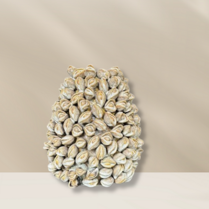Keramieken pistachio m vaas van Periliving in beige met levensechte pistache nootjes, verkrijgbaar bij BloomFever